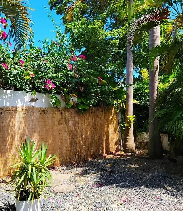 Garden Art Studio Apartment San Juan